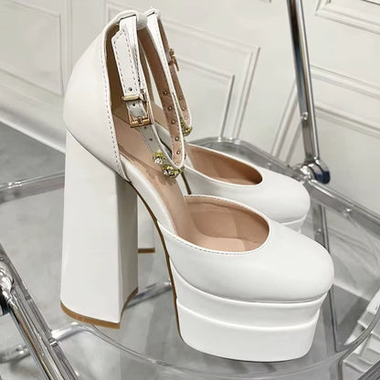 Retro Mary Janes Chunky Heels